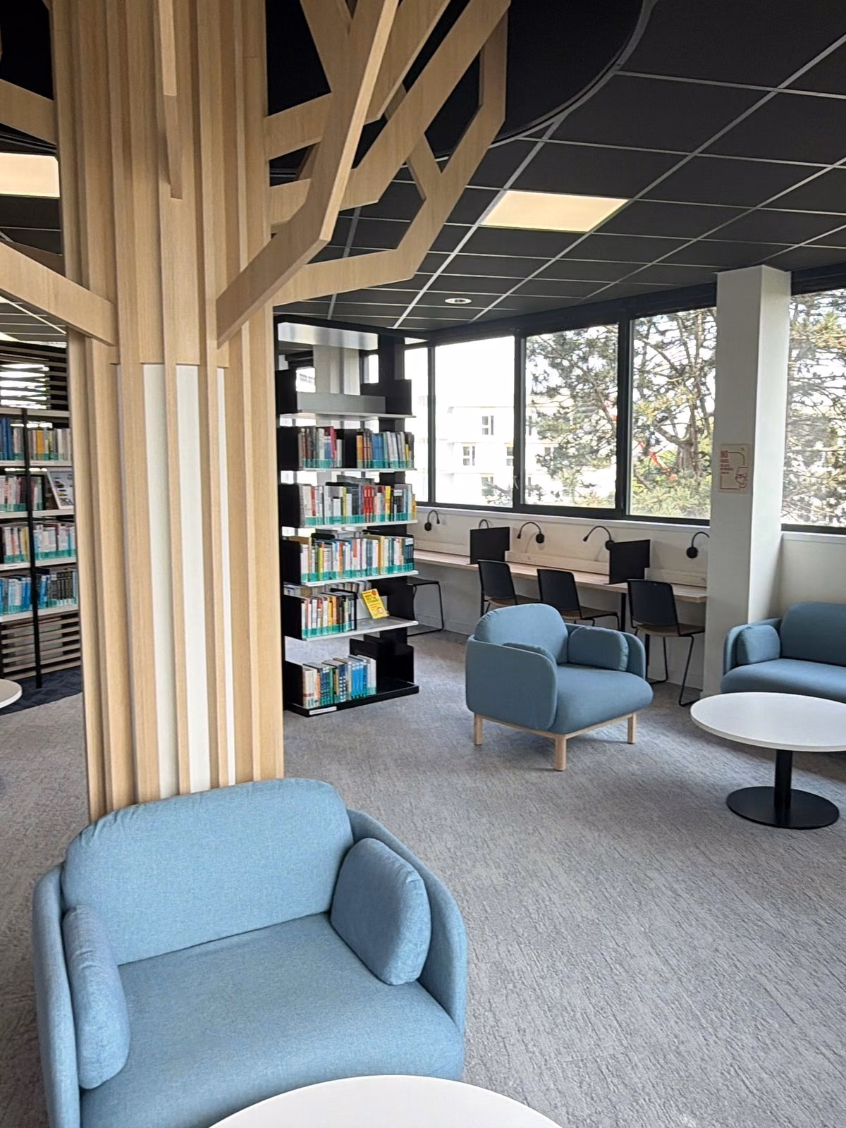 Licensed stock: modern library lounge with blue seating and shelves — illustrative association reading-room mood.