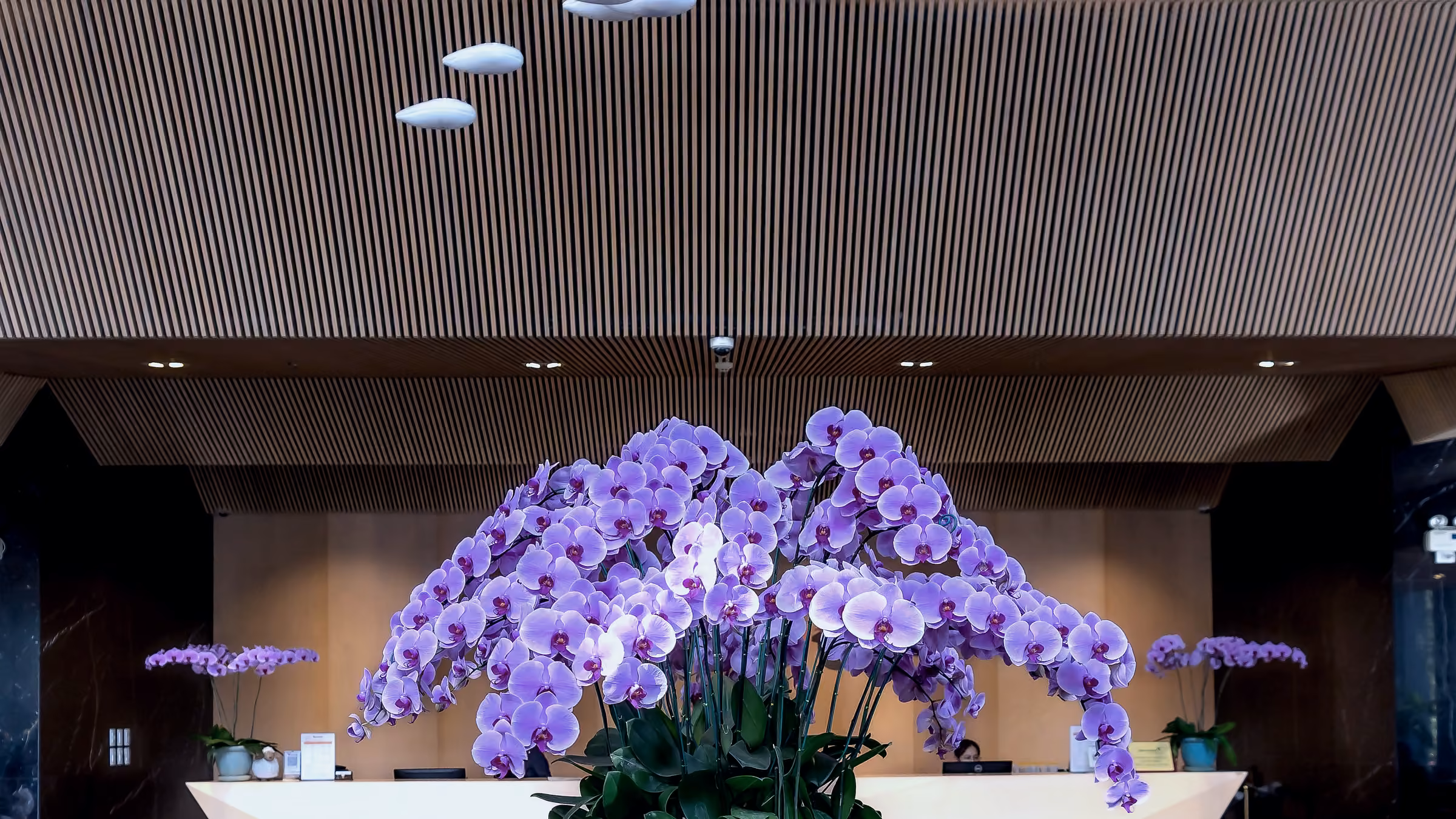 Quiet club reception desk with orchid welcome; illustrative licensed stock, no readable venue branding.